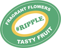 Fragrant ripple green fruit sticker